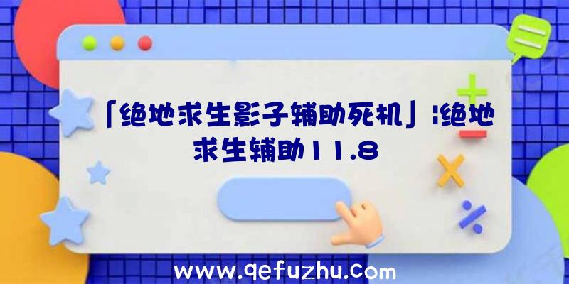 「绝地求生影子辅助死机」|绝地求生辅助11.8